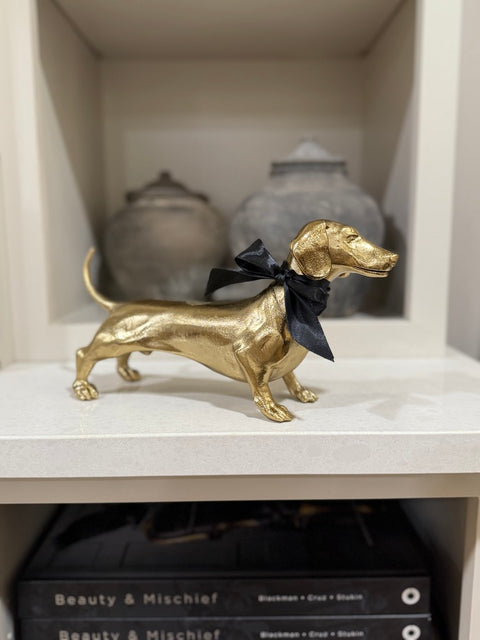 Goldie Dachshund