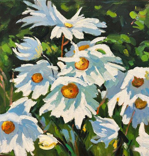 Daisies