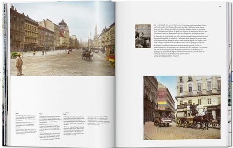 Vienna. Portrait of a City