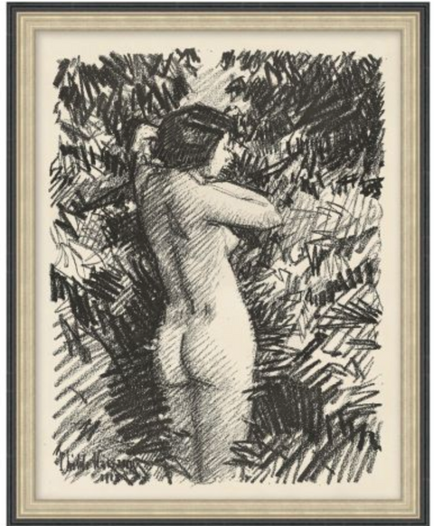 Countryside Collections 11