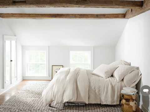 Lush Linen Natural Sham - King