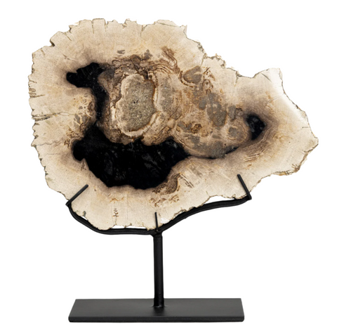 Petrified Log Fossil w/ Stand