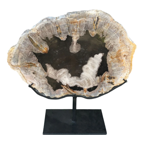 Petrified Log Fossil w/ Stand
