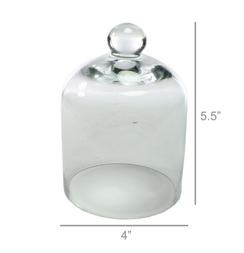 Glass Dome