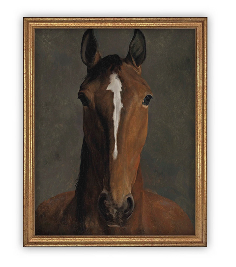 Horse Portrait