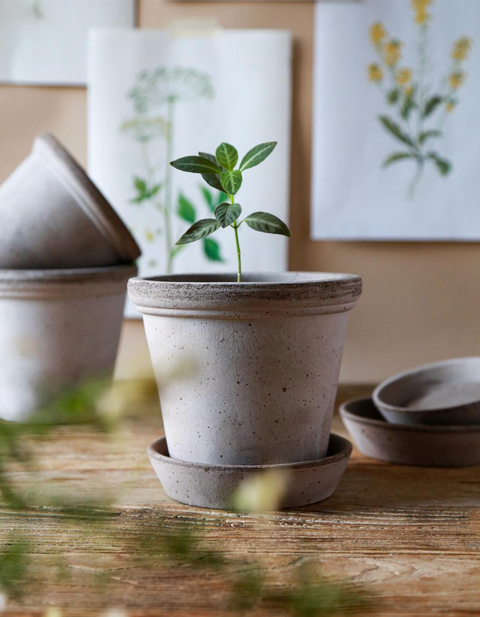 Flora Grey Pot Set