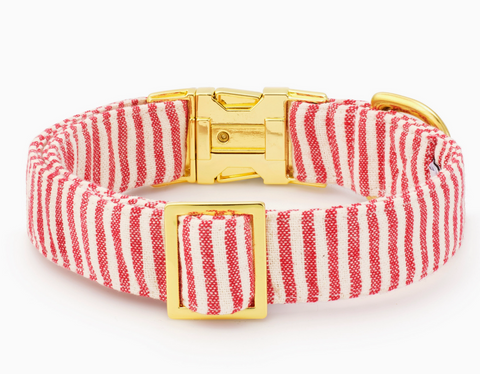 Red Stripe Dog Collar