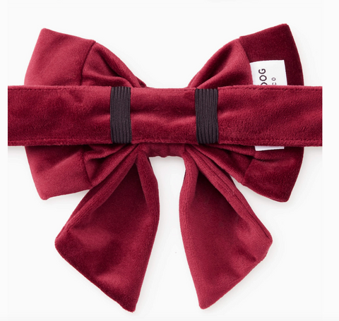 Burgundy Velvet Lady Dog Bow - Large