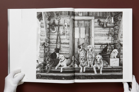 The Golden Retriever Photographic Society - by Bruce Weber