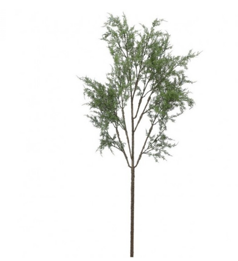 63" Natural Cedar Tree Branch