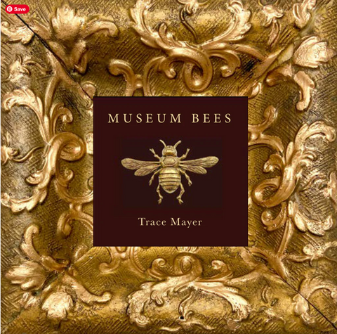 Museum Bees Book