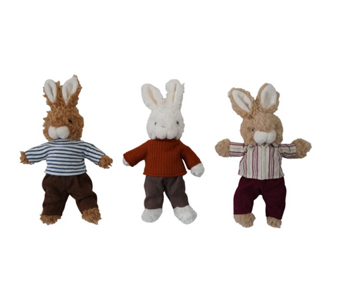 Plush Bunny in Clothes