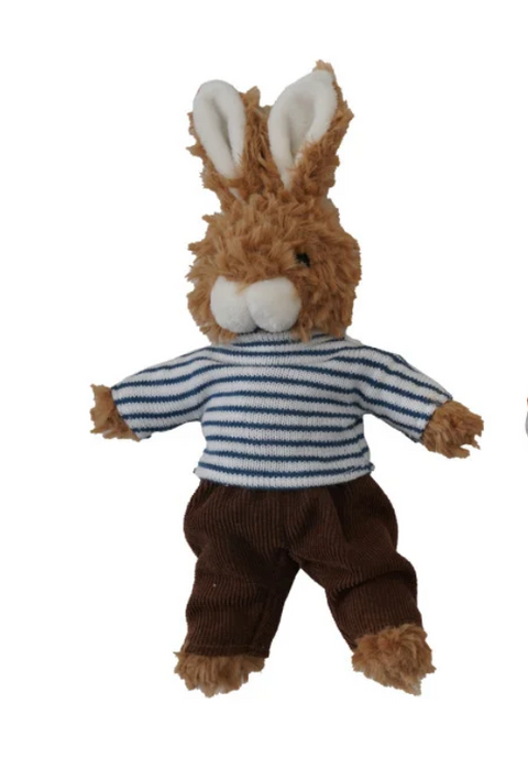 Plush Bunny in Clothes