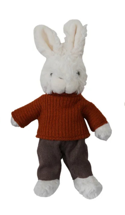 Plush Bunny in Clothes