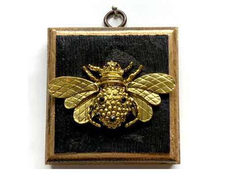 Museum Bees - Bee
