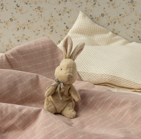 My First Bunny
