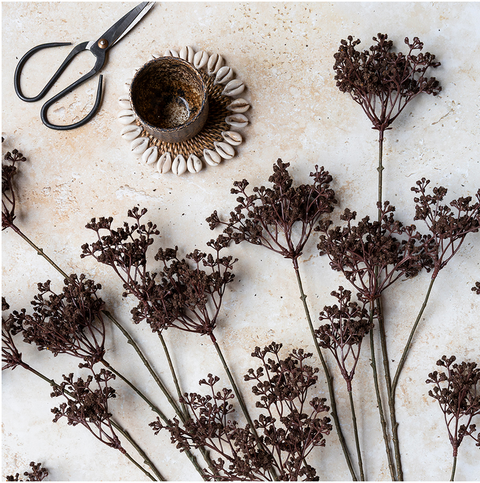 Woodland Yarrow Stem