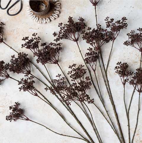 Woodland Yarrow Stem