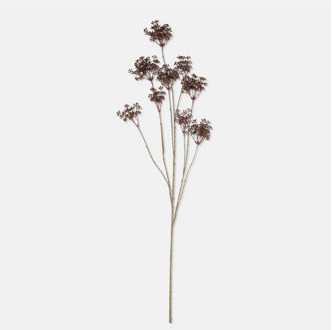 Woodland Yarrow Stem