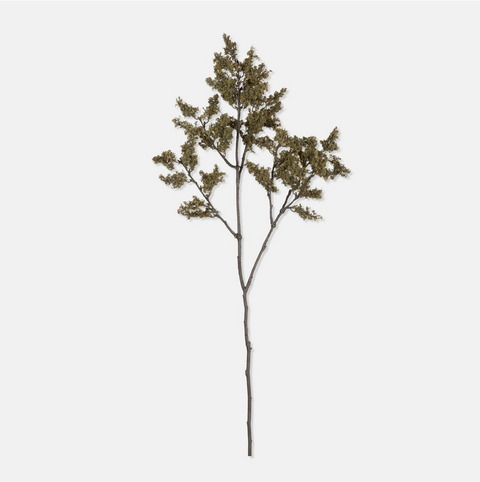 Woodland Branch