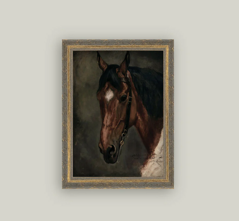 Horse Portrait