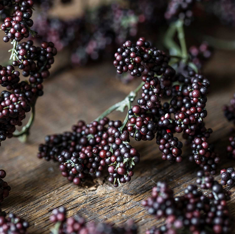 Wild Winter Berry Claret