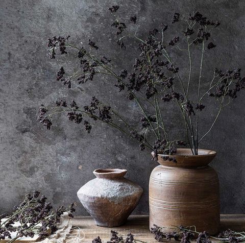 Wild Winter Berry Claret