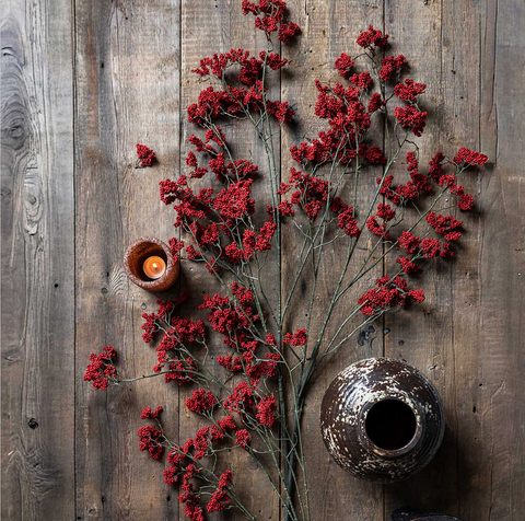 Wild Winter Berry Claret