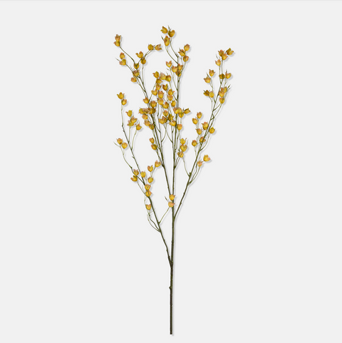 Wild Canterbury Blossom