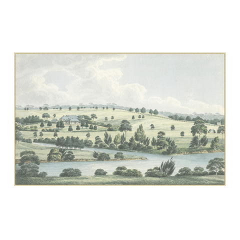 Soft Blue Countryside