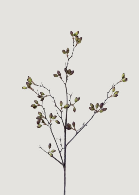 Artificial Barberry