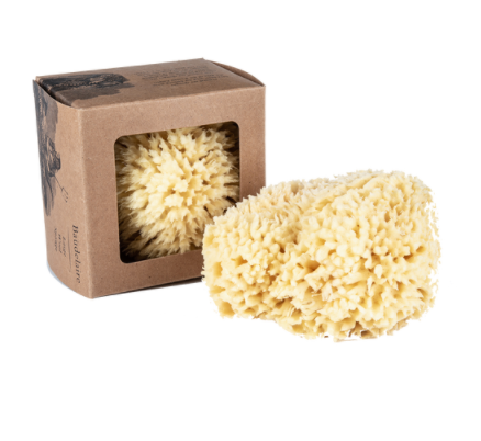 Wool Sponge