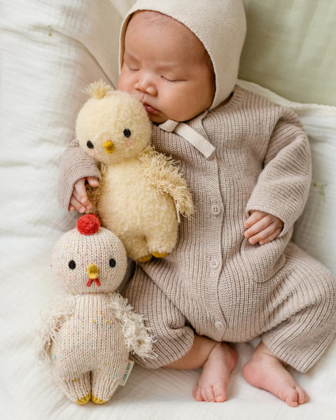Baby Chicken