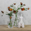 Organic Vase with Tall Neck