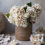 Morning Mist Hydrangea Stem