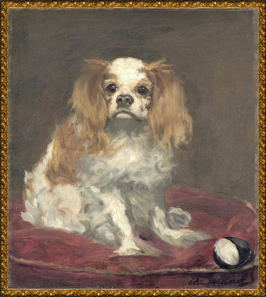 A King Charles Spaniel C. 1866