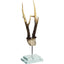 Antler on Double Glass Base