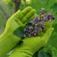 Grip Gardening Gloves