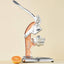 Mexican Citrus Juicer - Large