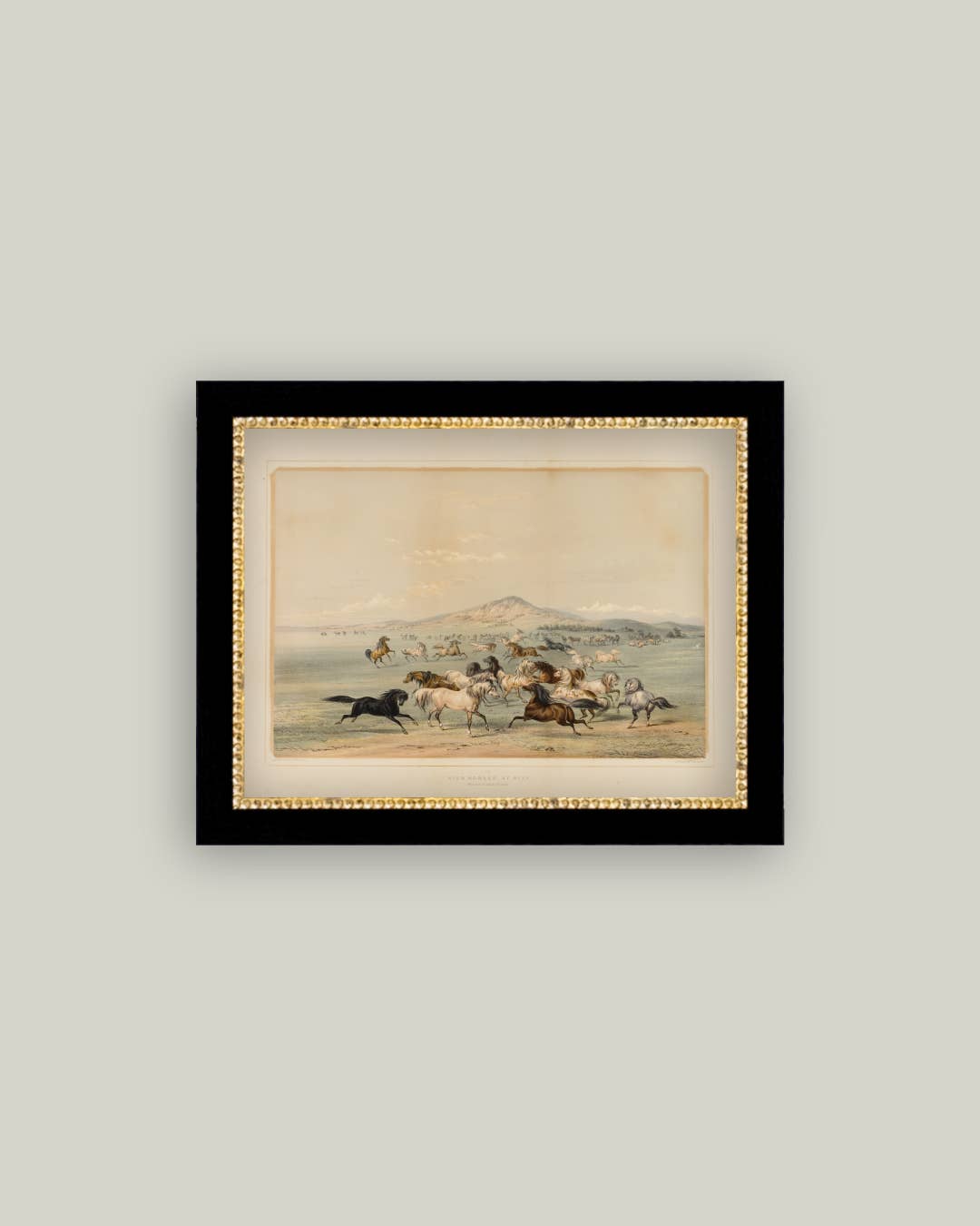 Field Of Horses Framed Antique Art