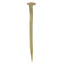 Large Brass Forged Iron Nail