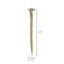 Large Brass Forged Iron Nail