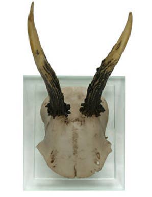 Antler Double Glass Wall Mount
