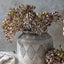 Artificial Rose Hip Bunch - Blush