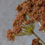 Artificial Yarrow Bunch Henna