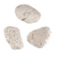 Pumice Stone