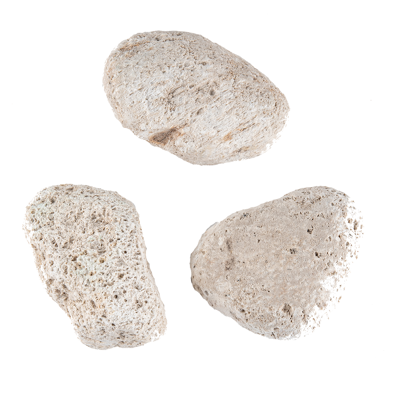 Pumice Stone