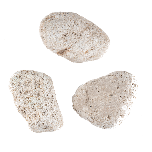 Pumice Stone