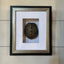 Framed Turtle Shell