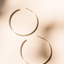 Everyday Large Hoops